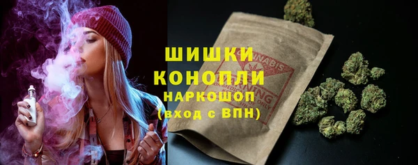 ПСИЛОЦИБИНОВЫЕ ГРИБЫ Абдулино